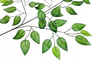 GAŁĄZKA FIKUS stroiki bukiety dodatek LIŚĆ GUMOWANE DROBNE listki zielone - Sztuczne kwiaty - miniaturka - grafika 1