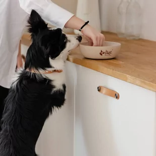 DINGO-miska z włókna bambusowego antypoślizgowa - 1500ml - Miski dla psów - miniaturka - grafika 3