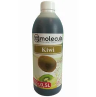 Syropy i koncentraty owocowe - Molecula Syrop o smaku kiwi do bubble tea 500 ml - miniaturka - grafika 1