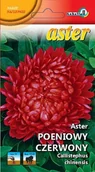 Nasiona i cebule - Aster peoniowy czerwony Stanisław 1g / L / - miniaturka - grafika 1