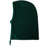 Czapki i chusty sportowe męskie - Kaptur The North Face Urban Lifestyle 0A88QZNL11 - zielony - miniaturka - grafika 1