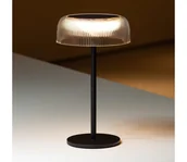 Lampy ogrodowe - Zuma Line DT33111-LED Ściemn. sol. ład. lampa BLUET LED/2,5W/2000 mAh IP44 czarny - miniaturka - grafika 1