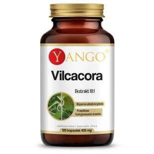 Yango Vilcacora - ekstrakt 10:1 Suplement diety 120 kaps. - Przeziębienie i grypa - miniaturka - grafika 1