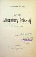 Poezja - Dzieje literatury polskiej w zarysie Tom I 1903 r. - miniaturka - grafika 1