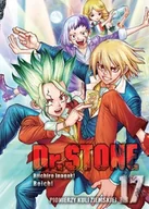 Komiksy dla dorosłych - Dr. Stone. Tom 17 - miniaturka - grafika 1
