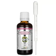 Przeziębienie i grypa - B&M HOUTTUYNIA CORDATA - suplement diety 50 ml - miniaturka - grafika 1