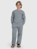 Spodnie i spodenki dla chłopców - 4F Spodnie dresowe chłopięce - szare 122 (6-7 lat) - miniaturka - grafika 1