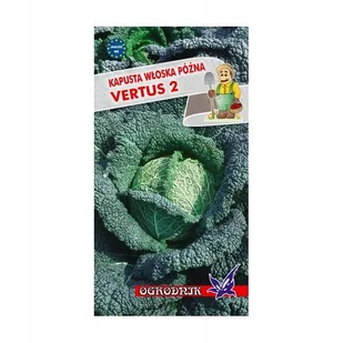 Kapusta włoska Vertus 2 nasiona 2g / O / - Nasiona i cebule - miniaturka - grafika 1