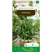 Nasiona i cebule - Estragon Artemisia dracunculus nasiona ziół W.Legutko - miniaturka - grafika 1