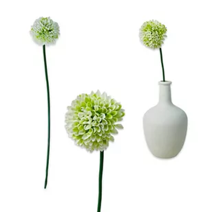 CZOSNEK CHRYZANTEMA GAŁĄZKA GUMOWA KWIATY DO WAZONU 49 CM SZTUCZNE KWIATY - Sztuczne kwiaty CZOSNEK CHRYZANTEMA GAŁĄZKA GUMOWA KWIATY DO WAZONU 49 CM SZTUCZNE KWIATY - Sztuczne kwiaty - miniaturka - grafika 1