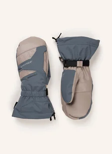 Ziener Rękawiczki Narciarskie Gaikus As® Aw grau - Rękawiczki Ziener Rękawiczki Narciarskie Gaikus As® Aw grau - Rękawiczki - miniaturka - grafika 1