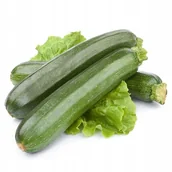 Nasiona i cebule - CUKINIA dynia NIMBA zielona plenna NASIONA WARZYW p. 82365CIN0EX ST; DE80016420244162 ST; - miniaturka - grafika 1