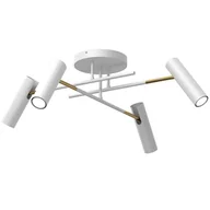 Lampy sufitowe - Lampa sufitowa z reflektorami na przegubach LX 341 z serii AXION - miniaturka - grafika 1