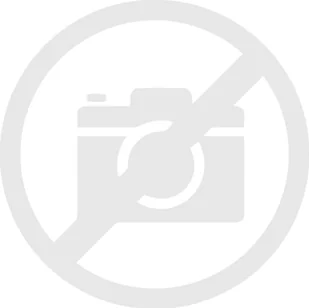 PLATINET LUCKYSKY CITY ROLLER LAPTOP BACKPACK TROLLEY MIEJSKI PLECAK NA LAPTOP Z KÓŁKAMI I UCHWYTEM PRINT LOGO 15,6" - Torby na laptopy - miniaturka - grafika 1