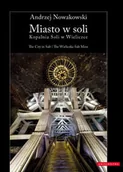 Albumy krajoznawcze - Miasto w soli / The City in Salt - miniaturka - grafika 1