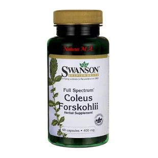 SWANSON Coleus Forskohlii (Forskolina)(Pokrzywa Indyjska) 400 mg 60 kapsułek - Serce i układ krążenia - miniaturka - grafika 1