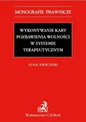 E-booki - prawo - Wykonywanie kary pozbawienia wolności w systemie terapeutycznym - miniaturka - grafika 1
