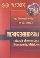 Finanse, księgowość, bankowość - Mikroprzedsiębiorstwa - sytuacja ekonomiczna finansowanie właściciele - miniaturka - grafika 1