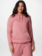 Bluzy damskie - Bluza damska z kapturem Columbia Trek Graphic Treatment Hoodie 2051611629 L Różowa (195981031164) - miniaturka - grafika 1