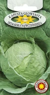 Nasiona i cebule - KAPUSTA GŁOWIASTA BIAŁA DITMARSKA NAJWCZEŚNIEJSZA 2G - miniaturka - grafika 1