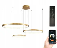 Lampy sufitowe - Lampa 40/60/80 pilot okręgi ring żyrandol Led Tuya - miniaturka - grafika 1