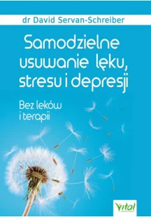 Samodzielne usuwanie lęku, stresu i depresji - Rozwój osobisty - miniaturka - grafika 2