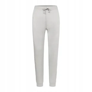 Spodnie męskie dresowe Authentic Miejski Szary r. M - Dresy męskie - miniaturka - grafika 1