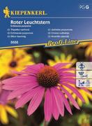 Nasiona i cebule - Kiepenkerl Jeżówka purpurowa Roter Leuchtstern 102036 - miniaturka - grafika 1