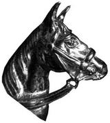 Wisiorki - Wisiorek - głowa konia 4 - miniaturka - grafika 1