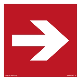 BA011 KIERUNEK DO MIEJSCA ROZMIESZCZENIA SPRZĘTU POŻARNICZEGO LUB URZĄDZENIA OSTRZEGAJĄCEGO, TS - PŁYTA TD FOTOLUMINESCENCYJNA; (200X200MM) - Systemy ekspozycyjne i znaki informacyjne - miniaturka - grafika 1