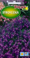 Nasiona i cebule - Lobelia - Stroiczka Cristal Palace 0.3 g POLAN - miniaturka - grafika 1