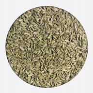 Herbata - Koper fenkuł włoski nasiona kopru włoskiego 100 g - miniaturka - grafika 1