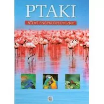 Dragon Ptaki Atlas encyklopedyczny - Anna Przybyłowicz, Przybyłowicz Łukasz - Przewodniki - miniaturka - grafika 1
