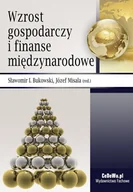 E-booki - biznes i ekonomia - Wzrost gospodarczy i finanse międzynarodowe - miniaturka - grafika 1