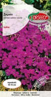 Nasiona i cebule - Nasiona Żagwin filoletowy 0,5g - Torseed - miniaturka - grafika 1