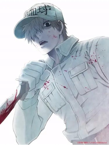 Plakat Anime Cells at Work hs_023 A1+ (custom)