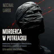 Audiobooki - kryminał, sensacja, thriller - Morderca w potrzasku Michał Larek - miniaturka - grafika 1
