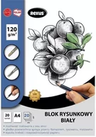 Szkolne artykuły papiernicze - Blok rysunkowy A4/20K biały Premium - Beniamin - miniaturka - grafika 1