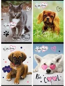 Zeszyty szkolne - MAJEWSKI Zeszyt A5 32k linia podwójna dwukolorowa laminowany p15 My Little Friend - miniaturka - grafika 1