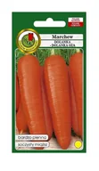 Nasiona i cebule - Marchew jadalna Dolanka 500 g PNOS Ożarów - miniaturka - grafika 1