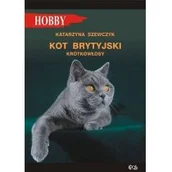 Poradniki hobbystyczne - Kot brytyjski krótkowłosy - miniaturka - grafika 1