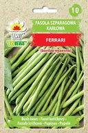 Nasiona i cebule - Fasola szp. karł. zielonostr. FERRARI (wczesna) NEW Phaseolus vulgaris L. - miniaturka - grafika 1