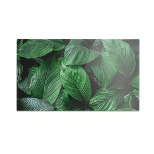 Szklana deska do krojenia HOMEPRINT Zielone liście tropikalne 60x52 cm - Deski do krojenia - miniaturka - grafika 1