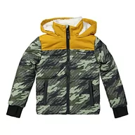 Kurtki i płaszcze dla chłopców - DJ Dutchjeans Kamizelka chłopięca, zielony, 4 lat - miniaturka - grafika 1