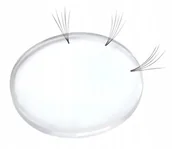 Sztuczne rzęsy i akcesoria - Project Lashes, Silikonowa Podkładka Do Tworzenia Kępek Rzęs - miniaturka - grafika 1