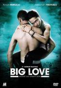 Filmy polskie DVD - Big Love - miniaturka - grafika 1