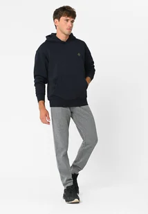 Joggery dresowe N-BEN - Spodnie sportowe męskie - miniaturka - grafika 1