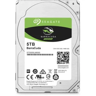 Dell DHSGTWB500LM000 - Dyski SSD - miniaturka - grafika 1