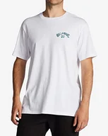 Koszulki męskie - Quiksilver Męska bluzka Arch Fill Ss (1 opakowanie) - miniaturka - grafika 1