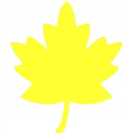 Scrapbooking - Scrapki Papierowe Liść 11 Szt Kolory - miniaturka - grafika 1